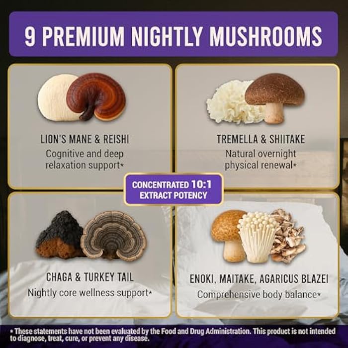 LEGRANO Premium Evening Mushroom Supplement Capsules with Lion’s Mane, Reishi Mushroom, Turkey Tail, Chaga, Ashwagandha, L-Theanine, Vitamins & Minerals – Adaptogenic Mushrooms for Relaxation & Sleep - Image 3
