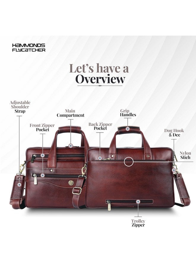HAMMONDS FLYCATCHER Genuine Leather Office Bag for Men, 15.6 Inch Messenger Laptop Bag for Men with Adjustable Strap & Multiple Compartments, 1 Year Warranty - Office, Travel, Daily Use - Brown - Image 3
