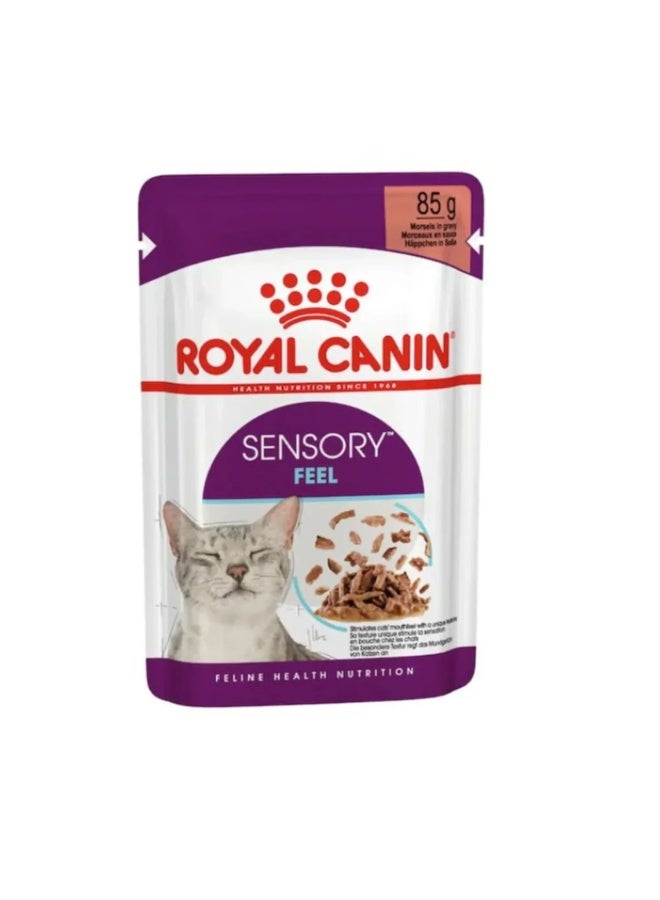 Royal Canin Feline Health Nutrition Sensory Feel Gravy Cat Wet Food - 85g - Image 1
