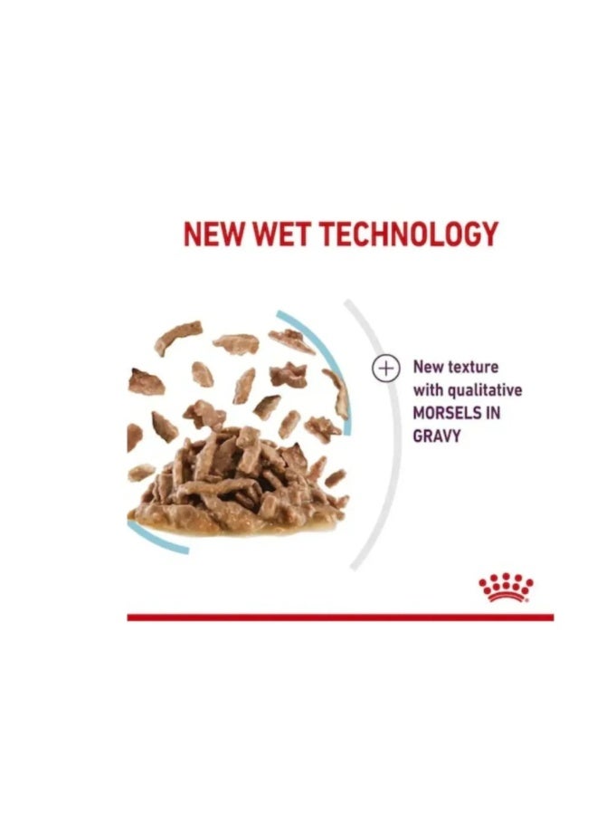 Royal Canin Feline Health Nutrition Sensory Feel Gravy Cat Wet Food - 85g - Image 2
