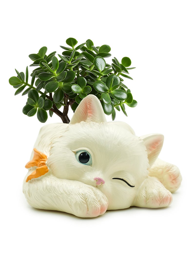 Peek A Boo Cat Cartoon Flower Pot Polyresin Cute Cat Succulent Planter Adorable Animal Vase Decorative Desk Flower Pot Pen Pencil Holder Propagator Kit for Indoor Outdoor Home Office Decor - Image 1