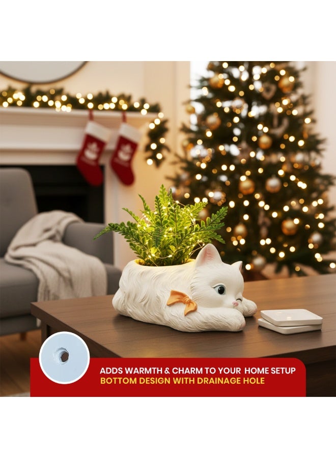 Peek A Boo Cat Cartoon Flower Pot Polyresin Cute Cat Succulent Planter Adorable Animal Vase Decorative Desk Flower Pot Pen Pencil Holder Propagator Kit for Indoor Outdoor Home Office Decor - Image 3