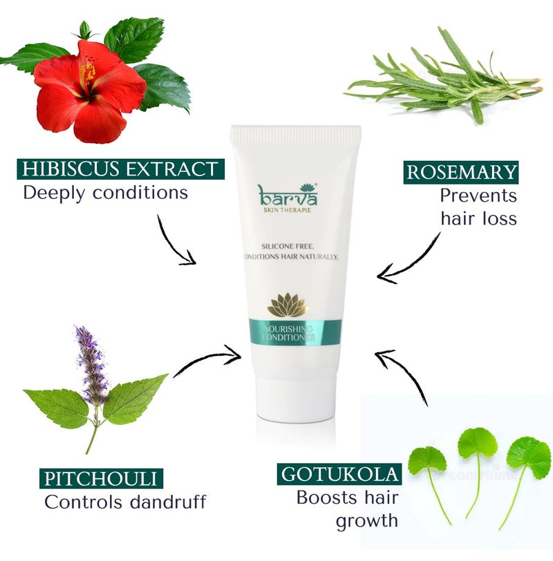 Barva Nourishing Natural Hair Conditioner For Dry Frizzy Hair Coloured Hair SLS Paraben Free Contains Aloe Vera Hibiscus Extracts 50ml - Image 4