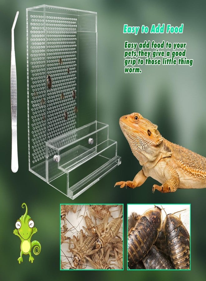 Neeenn Bearded Dragon Feeder, Chameleon Bug Bowl Kit with Steps, Transparent Acrylic Reptile Large Insect Box, Tank & Aquarium Accessories for Reptile Lizard Gecko Frog - 8.2 × 4.3 × 4.7 Inch - Image 4