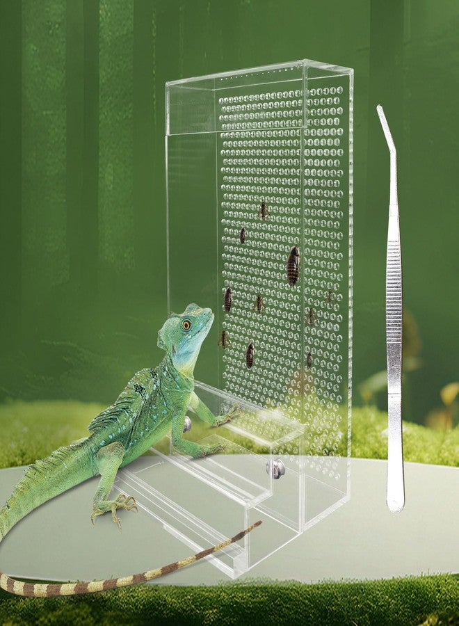 Neeenn Bearded Dragon Feeder, Chameleon Bug Bowl Kit with Steps, Transparent Acrylic Reptile Large Insect Box, Tank & Aquarium Accessories for Reptile Lizard Gecko Frog - 8.2 × 4.3 × 4.7 Inch - Image 1