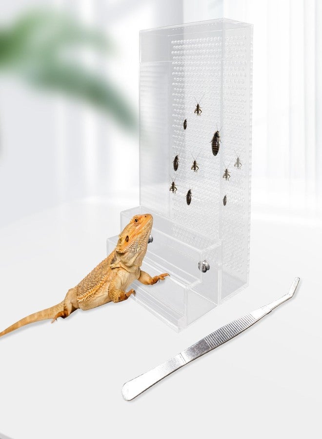 Neeenn Bearded Dragon Feeder, Chameleon Bug Bowl Kit with Steps, Transparent Acrylic Reptile Large Insect Box, Tank & Aquarium Accessories for Reptile Lizard Gecko Frog - 8.2 × 4.3 × 4.7 Inch - Image 3
