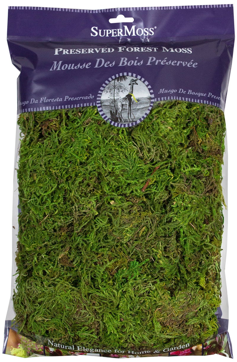 SuperMoss (25322) Forest Moss Preserved, Fresh Green, 8oz - Image 1