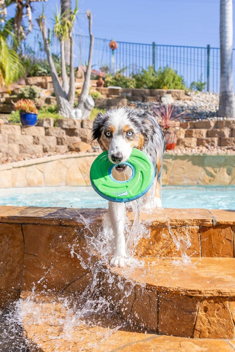 Chuckit! Zipflight Frisbee Dog Toy - Medium Floating Fetch Toy for Dogs - Image 2