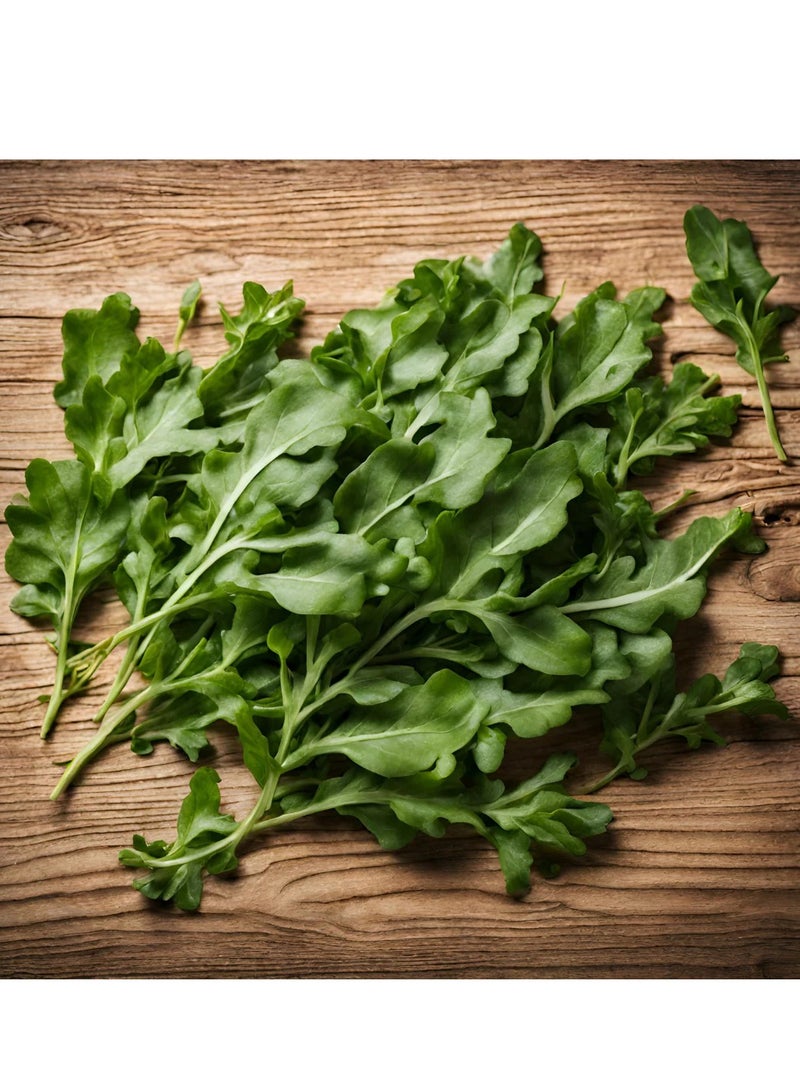 جرو بذور جرجير - Image 2