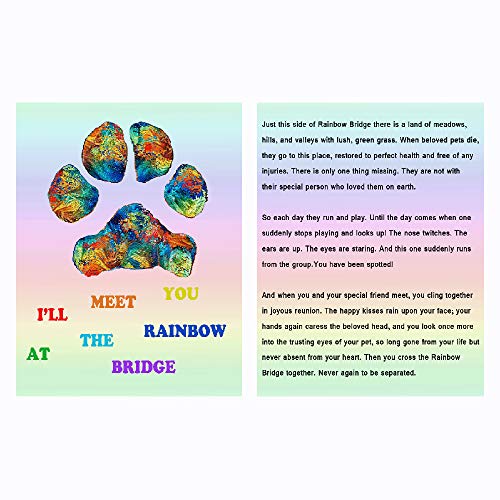 COZYMATE Rainbow Bridge Pet Memorial Gift Lava Bead Bracelet in Memory of Dogs Cats - Image 2