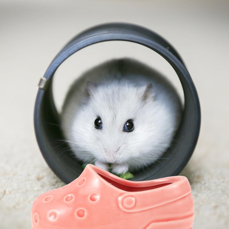Ceramic Hamster Food Bowl Small Cute Cage Rat Water Dish Compact Pet Feeding Container for Gerbil Chinchilla Bunny Hedgehog - Image 5