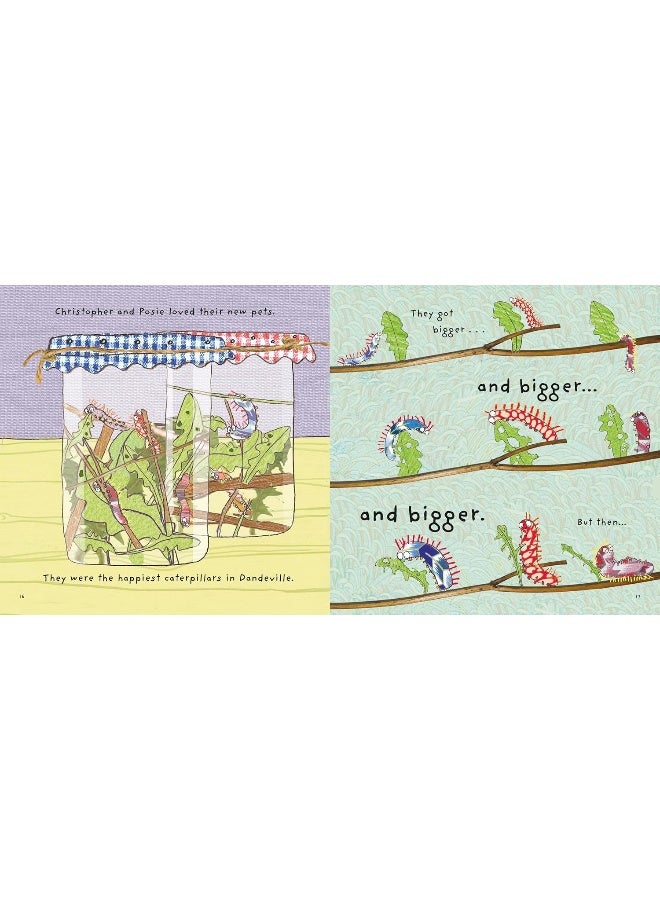 Christopher's Caterpillars - Image 5