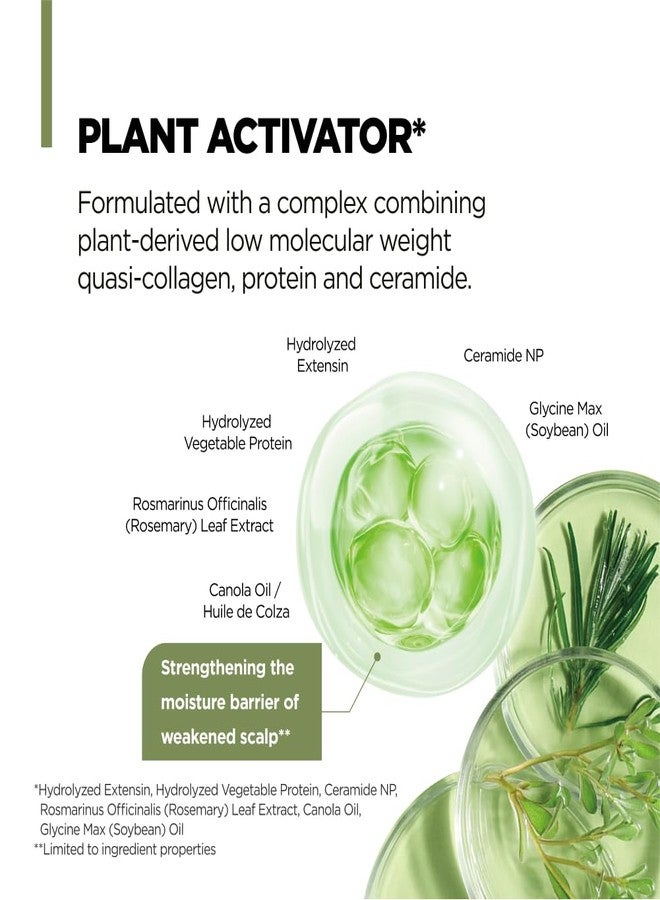 amos PROFESSIONAL شامبو أموس بروفيشينال النباتي المهدئ النشط | شامبو نباتي لتقوية فروة الرأس والشعر مع إكليل الجبل والبيوتين، خالي من الكبريتات، 16.9 أونصة سائلة - Image 5