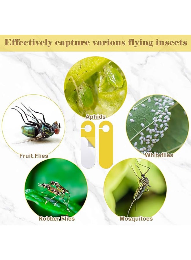 30 Pack Yellow Sticky Hanging Traps, Dual Sided Fungus Gnat Traps for House Indoor Plants Gnat Killer Whiteflies Aphids Leaf Miners Fruit Flying Insect Catcher Glue Traps - Image 4