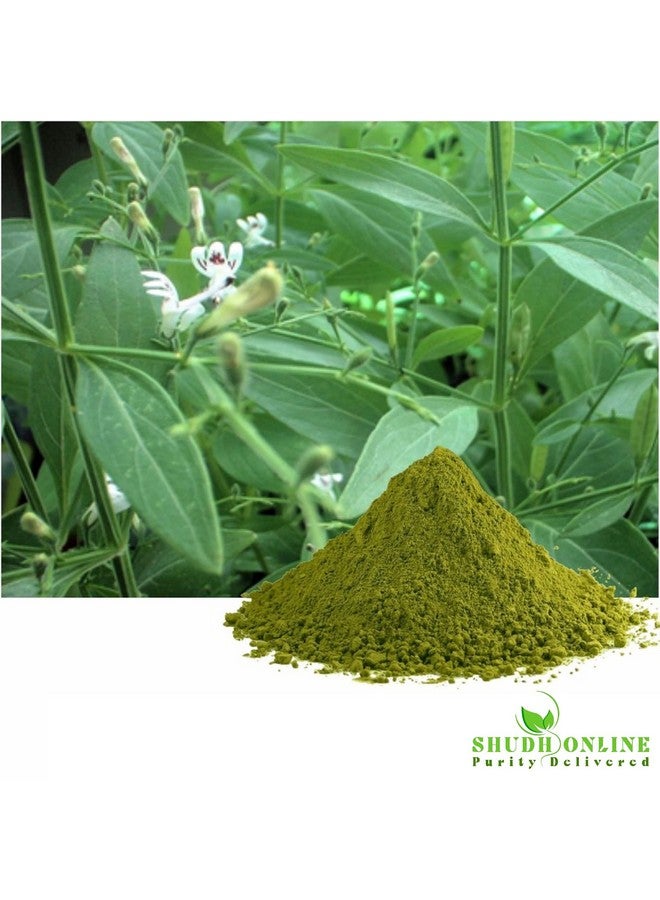 Shudh Online Nilavembu powder, Nelavemu, Kalmegh, Chirata (200 grams), Kirayata, Neelavembu - Image 3