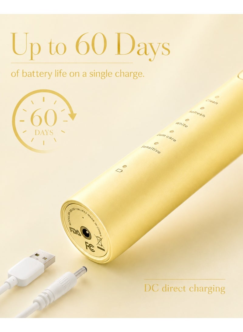 MySmile DY156 Electric Toothbrush for Adults, Rechargeable and Portable Sonic Toothbrush with 3 Brush Heads, Smart 2-Minute Timer and 5 Modes, 45,000 RPM, One Charge Lasts 60 Days (Yellow, Medium Size) - Image 4