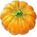 Gresorth 13' Big Artificial Ornament Pumpkin Fake Cushaw for Fall Harvest Decorative - 1 PC - Image 2