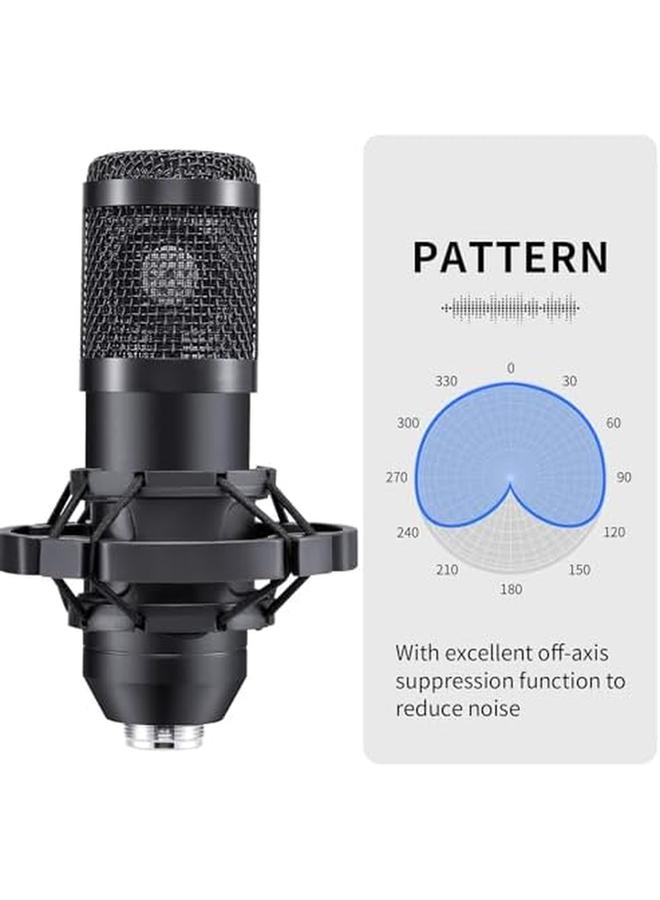 إيروريكس ميكروفون ألعاب USB للكمبيوتر الشخصي لبث البودكاست، ميكروفون احترافي مكثف كهربائي 192 كيلو هرتز 24 بت مع مجموعة شرائح صوتية وذراع قابل للتعديل لبث البودكاست في الاستوديو والغناء - Image 2