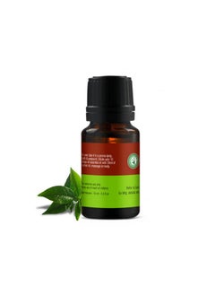 Inveda Tea Tree Essential Oil, Anti Acne for Pimple-Prone Skin, Made with Pure Tea Tree Extracts | Calming Skin and Reducing Scars, 10ml - pzsku/Z9893D6D4325E4ADD30D2Z/45/_/1738306365/2fc119d4-998a-41ca-99ca-340ab9751b59