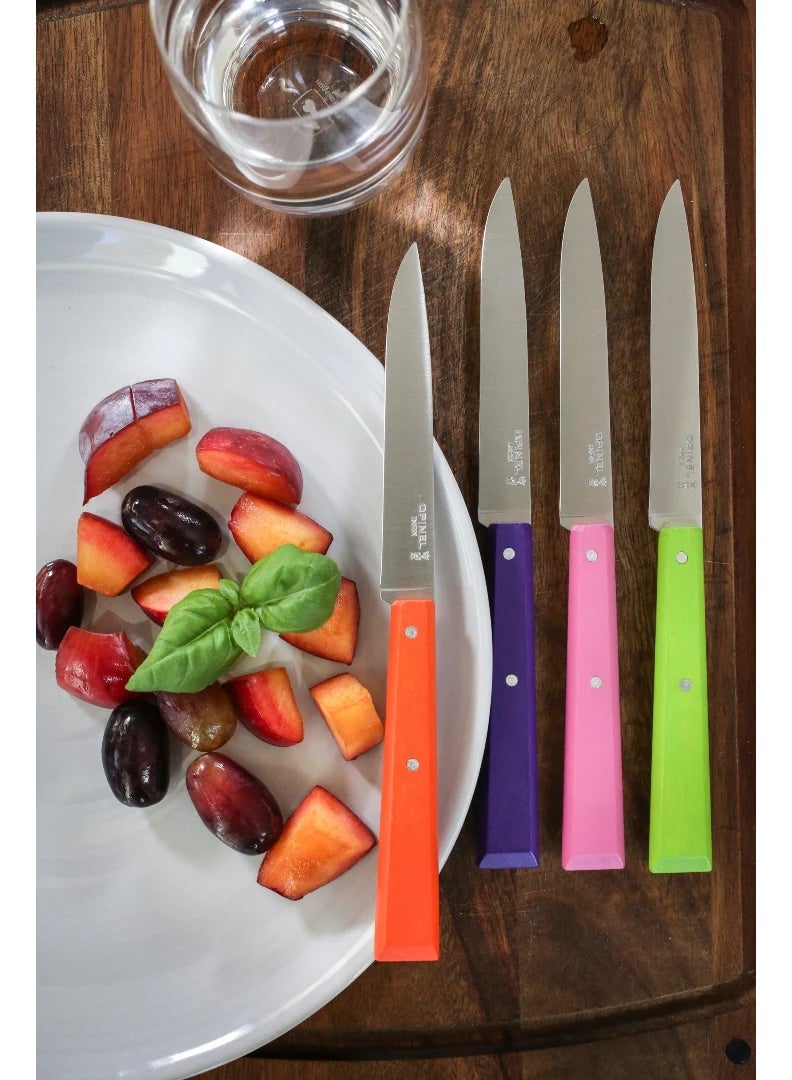 Opinel Classic Stainless Steel Paring Knife Set 4 Pcs No 112 - Image 2