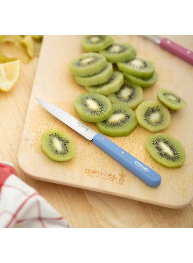 Opinel Classic Stainless Steel Paring Knife Set 4 Pcs No 112 - Image 5