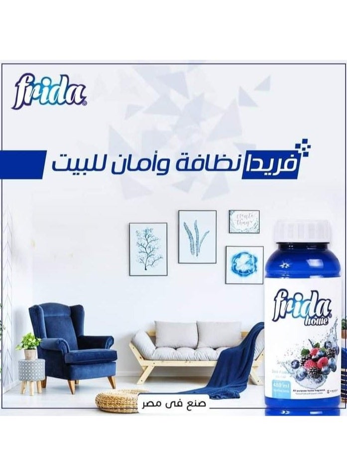 فريدا - عطر فريدا هوم لتنظيف المنزل لجميع الأغراض برائحة توت بري ، 480 مل - Image 1