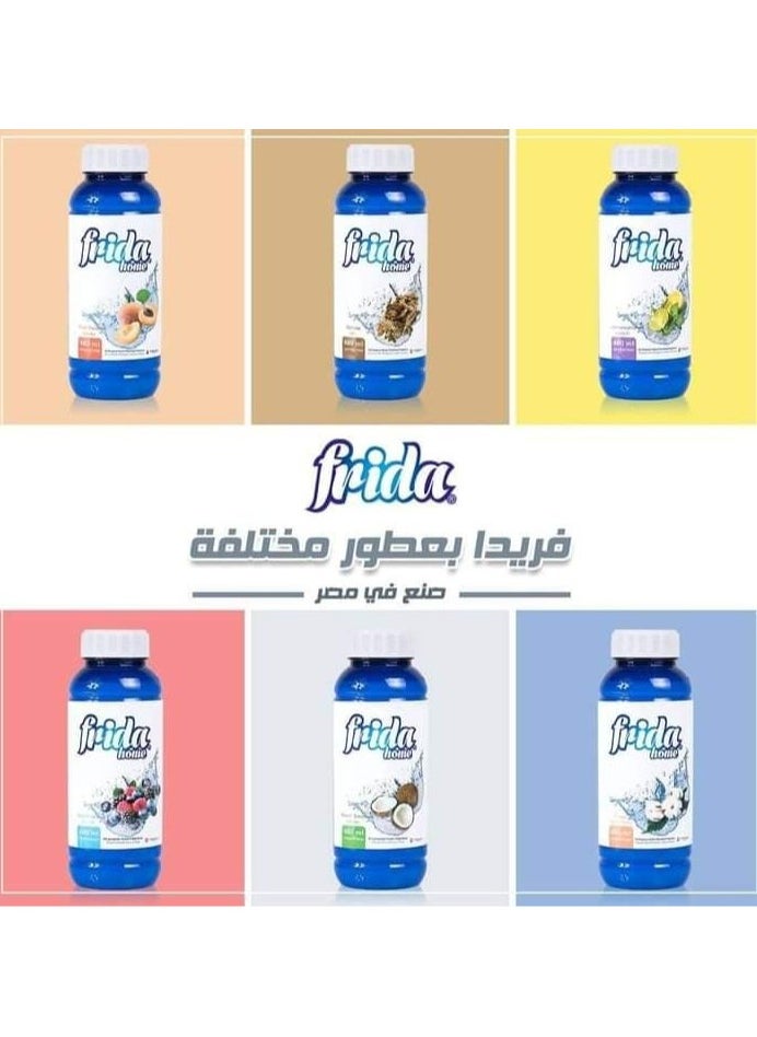 فريدا - عطر فريدا هوم لتنظيف المنزل لجميع الأغراض برائحة توت بري ، 480 مل - Image 1