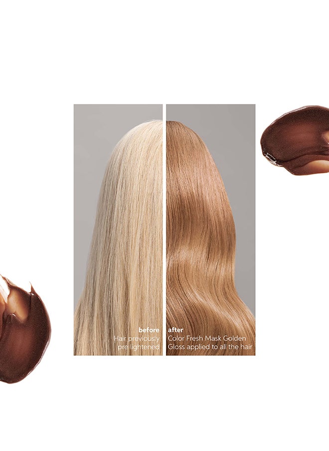 Color Fresh Mask Shade Golden Hair Color 150Ml - pzsku/Z9896F351695FC8326AA2Z/45/_/1723197872/1fe33977-6689-4453-99c2-ea397295b9dc
