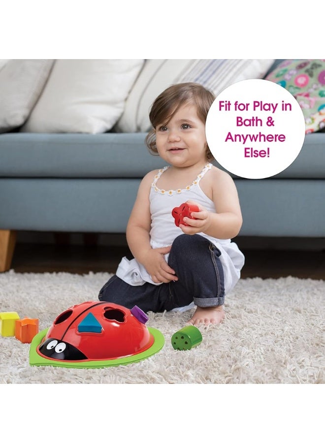 Edushape Ladybug Sorter - Sorting Bathtub Toys - Early Child Development Learning Educational Toy - Toddler Bath Toys - Baby Bath Toys for Toddlers 1-3 Teaches Cause & Effect, Cognitive Skills - Image 1