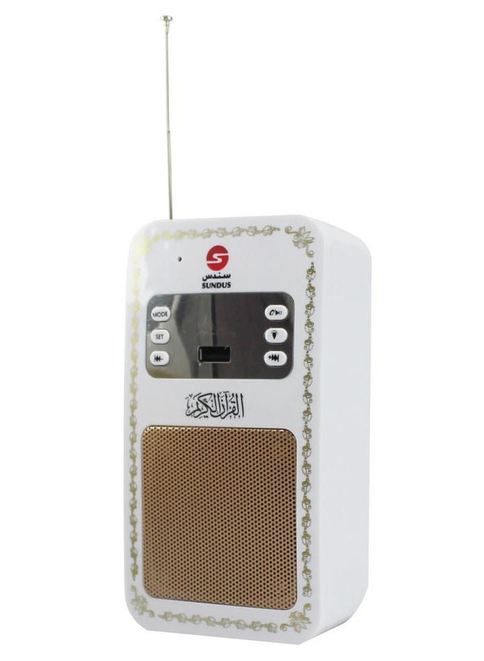 Holy Quran Speaker - Mural - Image 4