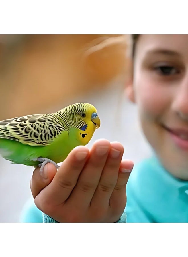 Volo Seedy Budgie Mix With Vitamin 1100g - Image 2