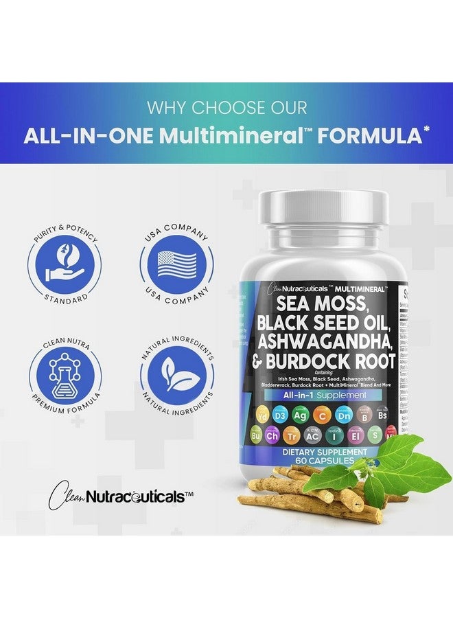 Clean Nutraceuticals Sea Moss Black Seed Oil Ashwagandha Turmeric Bladderwrack Burdock & Vitamin C Vitamin D3 with Elderberry Manuka Dandelion Yellow Dock Iodine Chlorophyll ACV - 2Pack