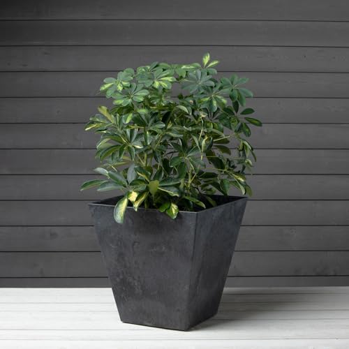 Root & Vessel, Black, 35168 Ella Square Planter, Black, 16-Inch - Image 2