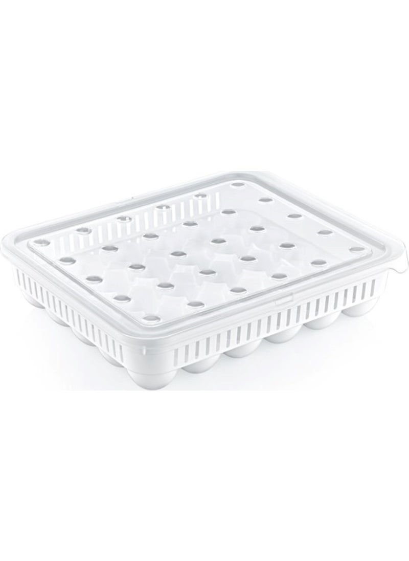 30 Egg Storage Containers - pzsku/Z989BB3397F9D8735CF8FZ/45/_/1725792765/e960750f-edcb-4b22-9a97-0330758ec3d9