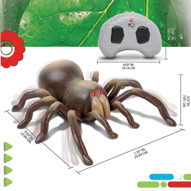 Discoveryâ„¢ RC Tarantula Spider â€“ Remote Control Toy Spider with Realistic Movement, Red LED Eyes & Wriggling Legs | Prank Gift for Boys Girls & Bug Lovers| Fun Electronic Animal Toy for Kids Ages 8+ - Image 3