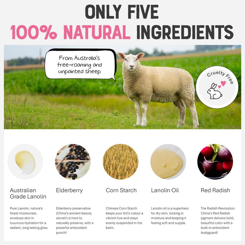 Dr. Lipp Superfood Lip Tint Red Redish 8ml â€“ 4-in-ONE Ultra Moisturising Tinted Lip Balm, Lip Gloss, Cheek Blush & Glossy Eyeshadow â€“ 100% Natural â€“ Fragrance & Cruelty Free - Image 5