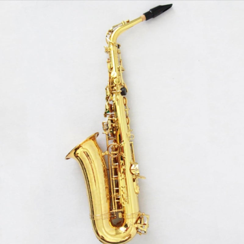 MegArya Professional High Grade Alto Saxophone - Gold Lacquered Complete Set - Image 4