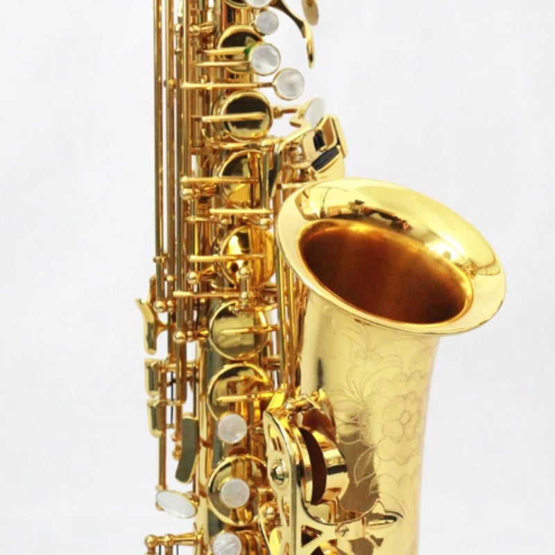 MegArya Professional High Grade Alto Saxophone - Gold Lacquered Complete Set - Image 5