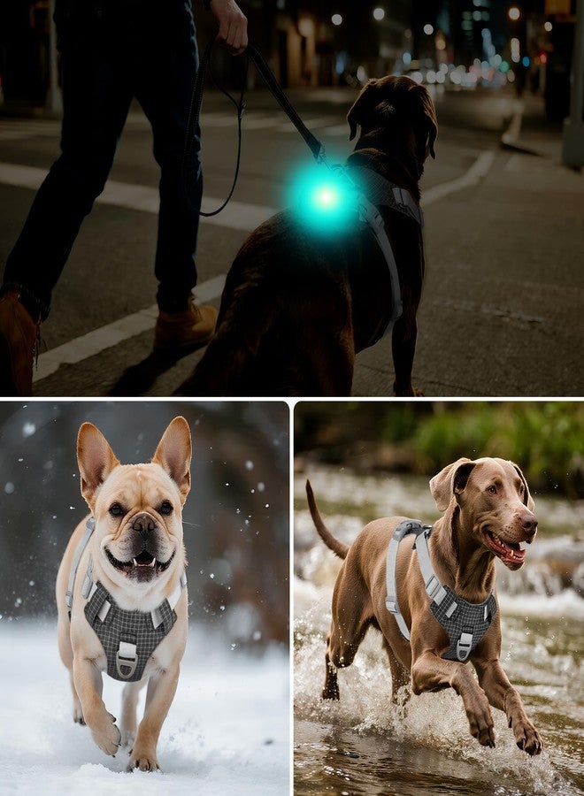 Joytale Light Up Dog Harness with Airtag Holder, Multicolored LED No Pull Dog Harness Rechargeable for Night Walking Safety, Soft Adjustable Lightweight Vest for Pet Training, Running, Black, XL - Image 5
