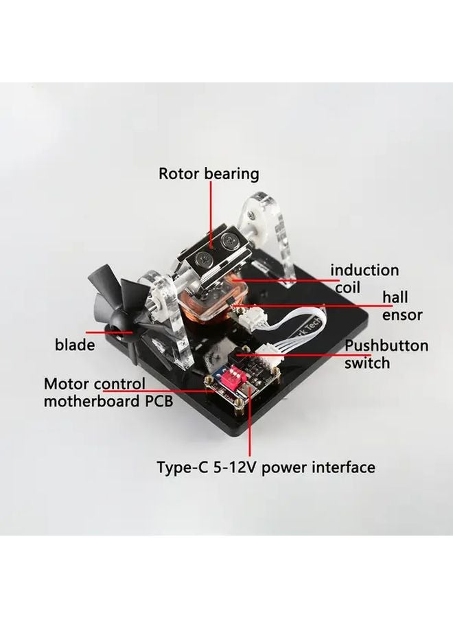 Transparent Hall Effect Brushless Motor Model Kit With Fan Blades 800 1000 RPM DIY Educational Display - Image 4