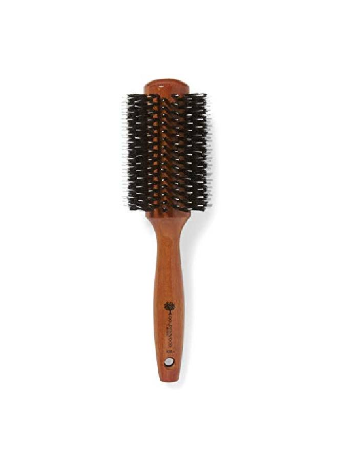ION Golden Wood Boar/Porcupine Round Brush Large - Image 1