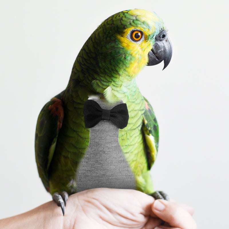 Diaper Washable Bird Pant Bird Flying Diaper Pet Daily Decoration Bird Costume - Image 3