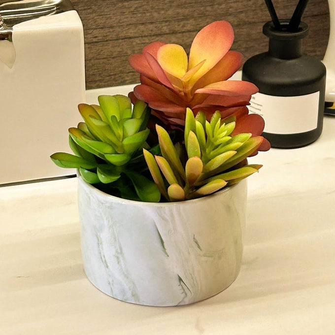 Artificial Plants Cute Colourful Succulents in Ceramic Planter Fake Plant Flowers Potted for Home Living Room Office Desk Decor Bathroom Bedroom Indoor Decoration