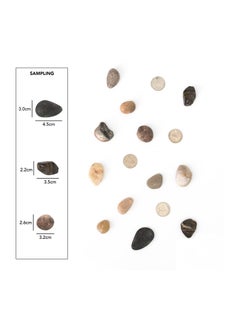 ماركة غير محددة 5 رطل (2.2 كجم) صخور كبيرة مزخرفة من الحصى النهري المصقول لأسماك المياه العذبة ونباتات الحيوانات وأحواض السمك والمناظر الطبيعية وديكور المنزل وما إلى ذلك مع حقيبة شبكية متوسطة - طبيعية  - Image 5