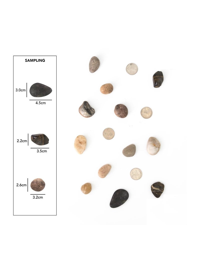 Home zone 5lb (2.2KG) Large Decorative Polished Gravel River Pebbles Rocks for Fresh Water Fish Animal Plant Aquariums Landscaping Home Decor etc. with Netted Bag Medium - Natural  - Image 5