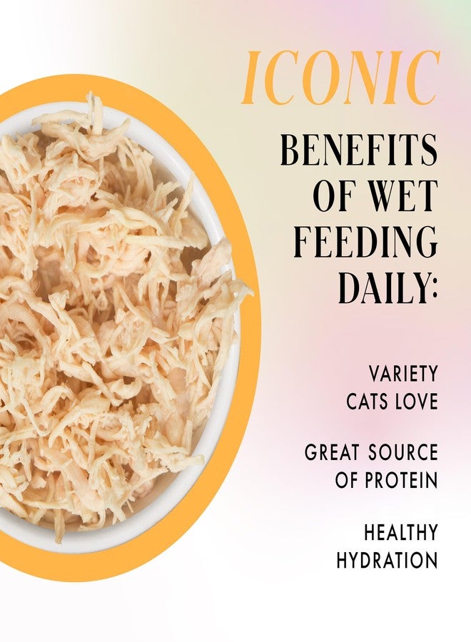 Weruva Paris Hilton Pamper Like Paris Natural Grain Free Wet Cat Food, Chicken Breast in Gravy, 2.47oz Can (Pack of 12) - Image 3