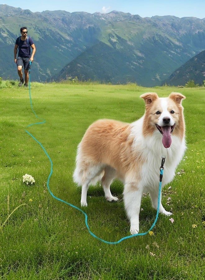 Joytale Long Leash for Dog with Removable Padded Handle, Heavy Duty Lead for Large Medium Dogs,15FT/30FT/50FT/65FT Reflective Training Leash for Play, Camping, Backyard Tie Out, Blue, 30FT - Image 2