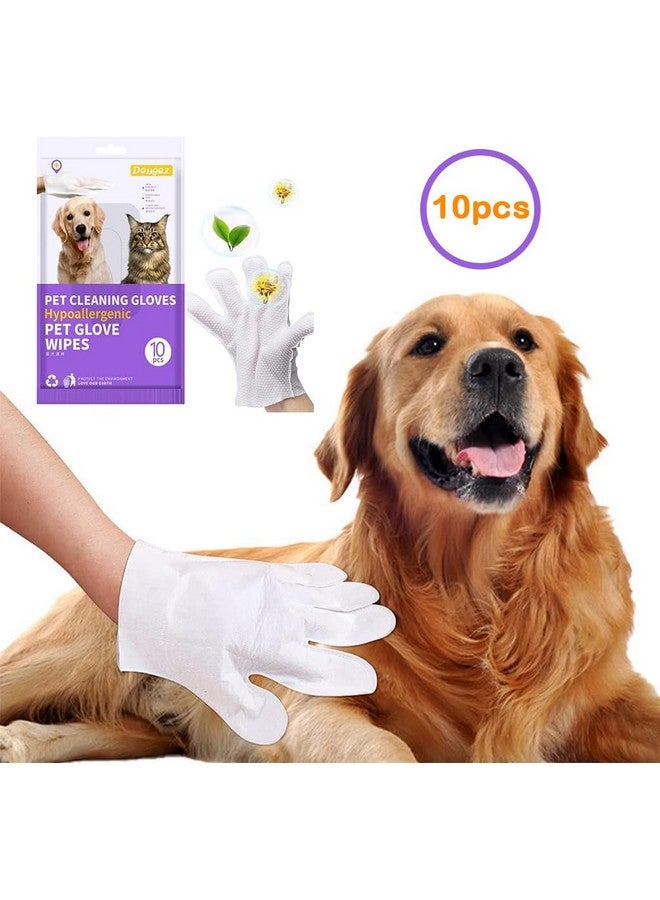SRG Carpet Rake for Pet Hair Removal | 5-Piece Set with 10 Disposable Cleaning Gloves, Long & Short Handles, Lint Rollers & Scraper Deep Cleaner Pro Pet Hair Remover | Cat and Dog Hair Carpet Rake - Image 3