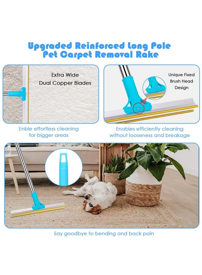 SRG Carpet Rake for Pet Hair Removal | 5-Piece Set with 10 Disposable Cleaning Gloves, Long & Short Handles, Lint Rollers & Scraper Deep Cleaner Pro Pet Hair Remover | Cat and Dog Hair Carpet Rake - Image 2