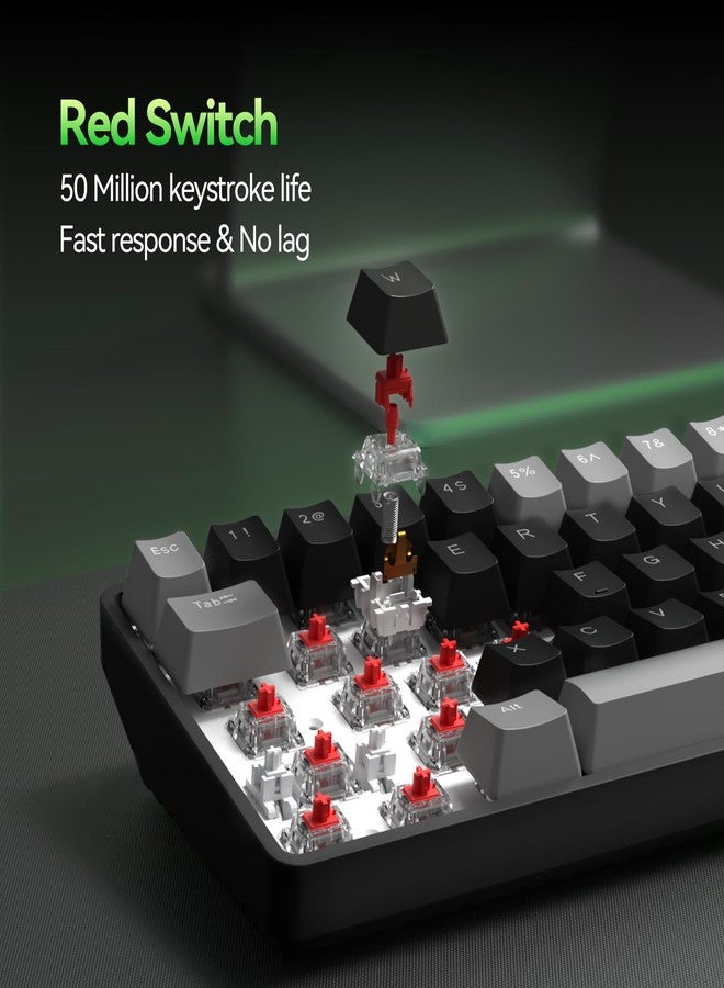 TMKB Technology Mechanical KeyBoard TMKB T68 60% Wireless Mechanical Gaming Keyboard, Tri-Mode BT5.0/2.4GHz/USB-C with Red Linear Switch, RGB Backlight, Anti-Ghosting, Compact 68 Keys, Wired/Wireless, Gray/Black - Image 3